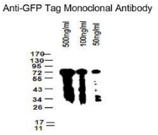 5f61857bb4b44.png image.png