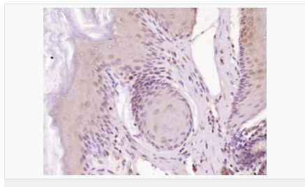 60582ceb2e676.png image.png