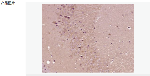 605844039da88.png image.png