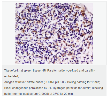 6066d4ef29d2e.png image.png