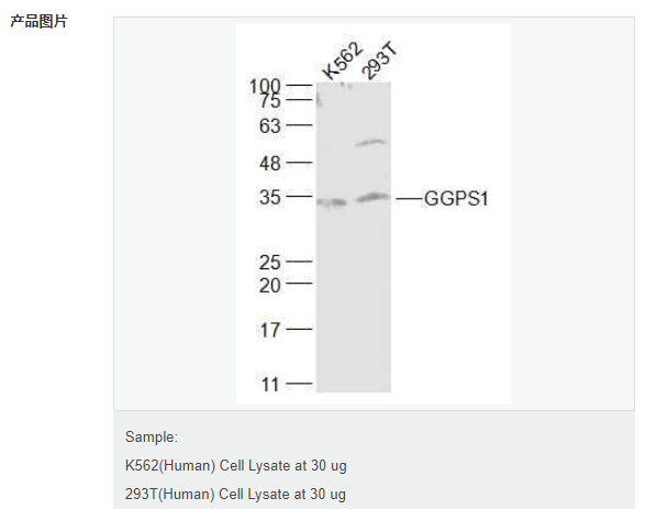 60765d21c3cab.png image.png