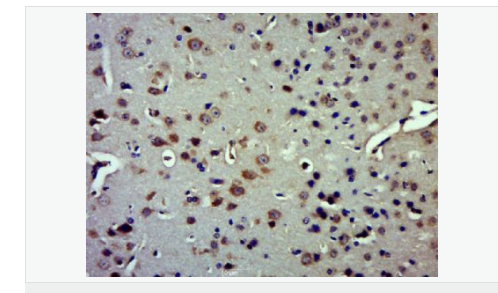 60779438cc8fc.png image.png