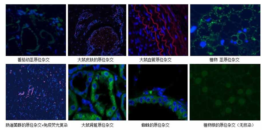 68ea0d956ba52.png image.png