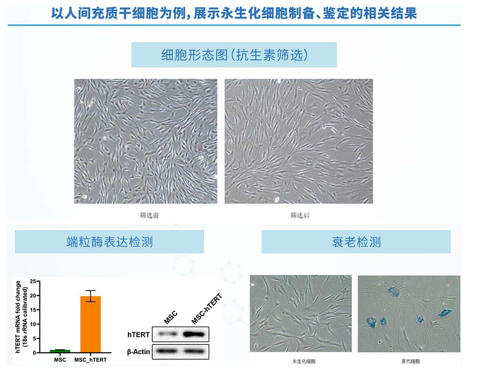 68ea0ef3414f7.png image.png